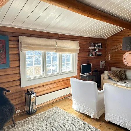 Mountain Cabin With Panoramic View In Hemsedal